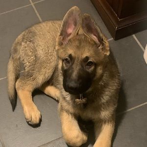 Meet your Posher, Tami